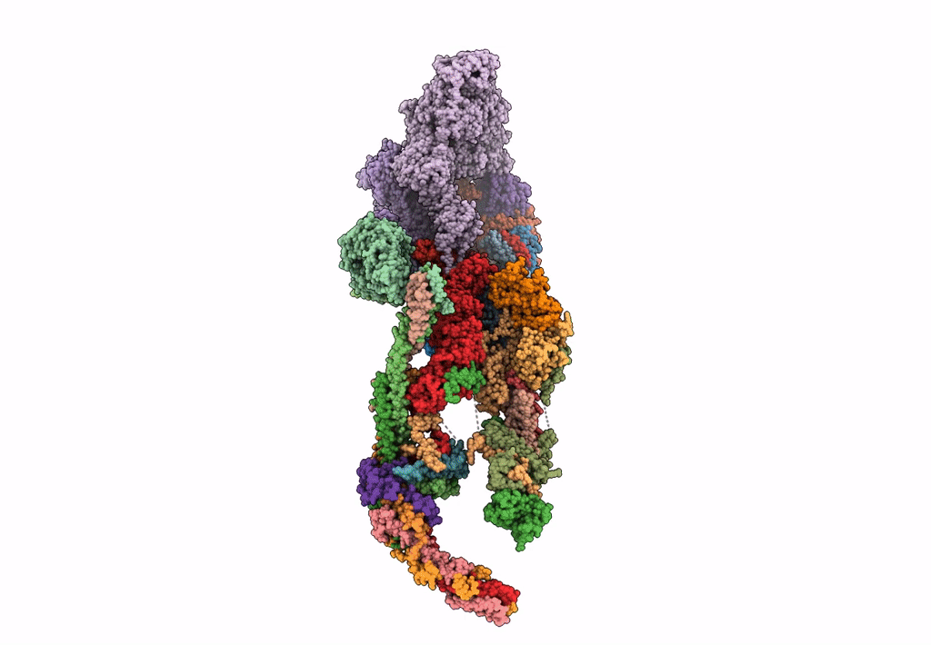 7EMF image