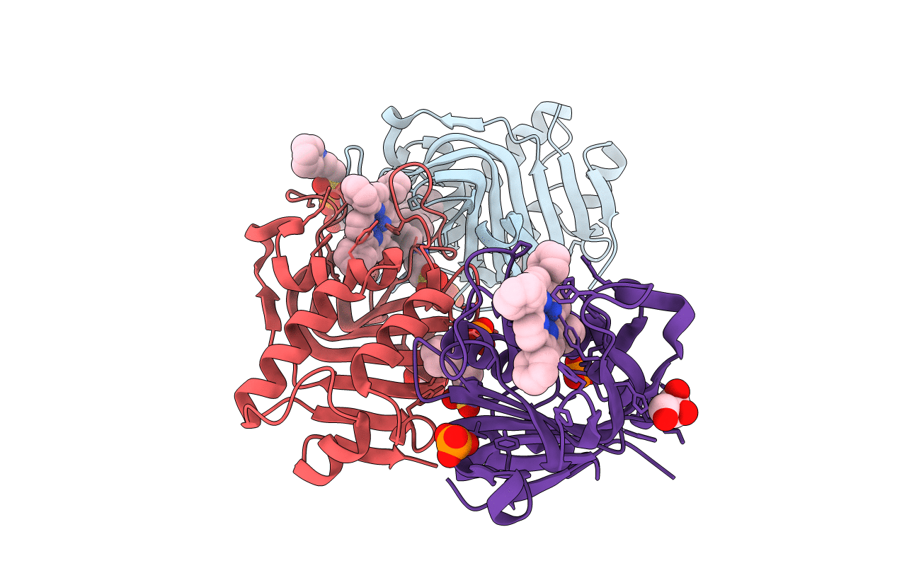 7EMR image