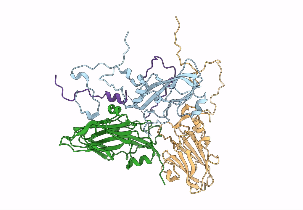 7ENP image