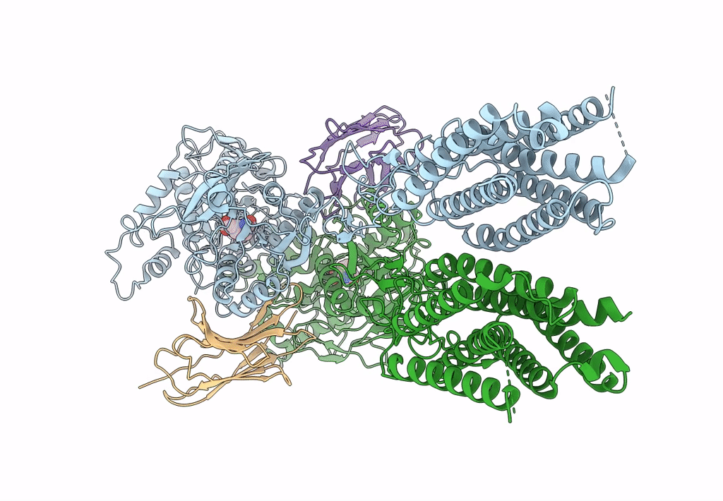 7EPB image