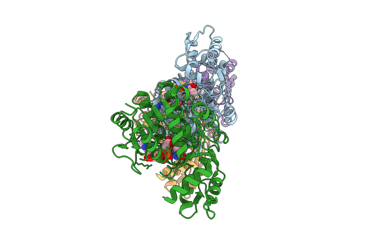 7EPR image