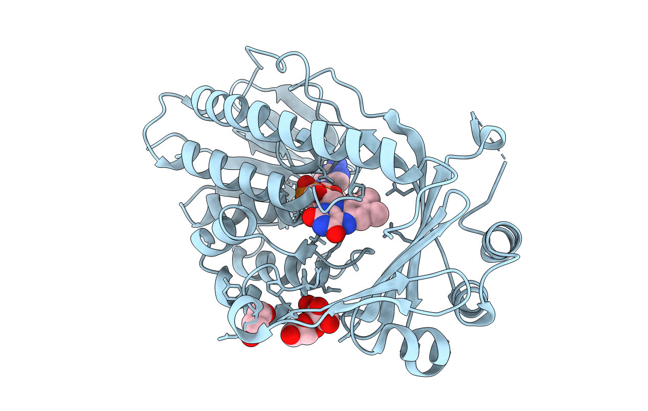 7EPV image