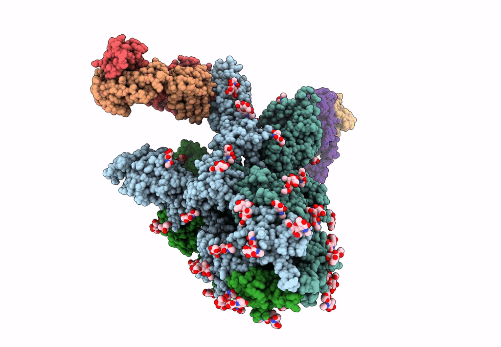 7EPX image