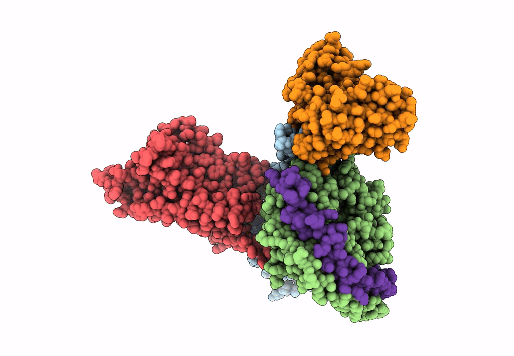 7EQ1 image