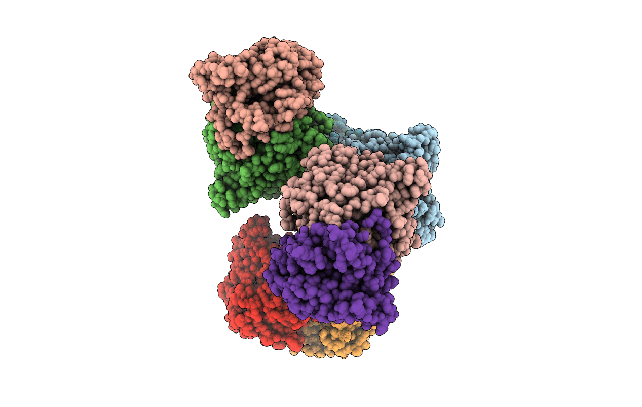 7EQI image