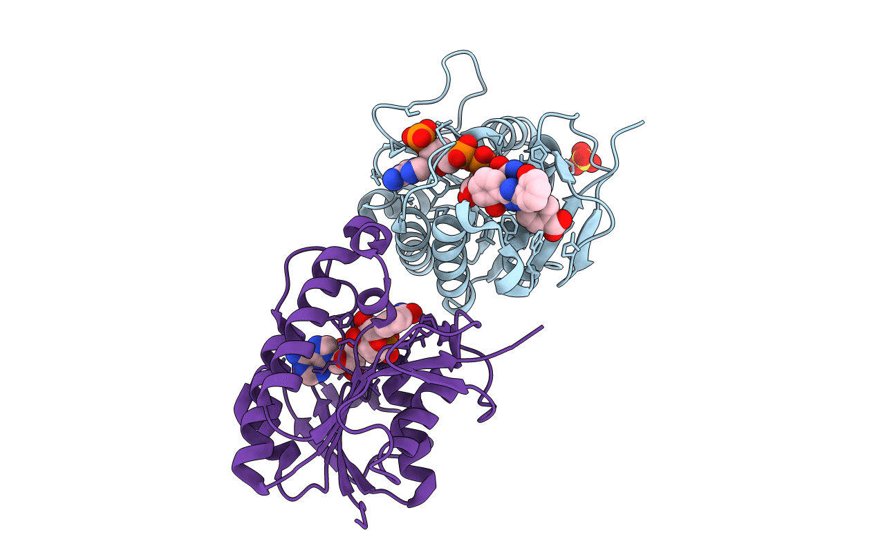 7ERC image