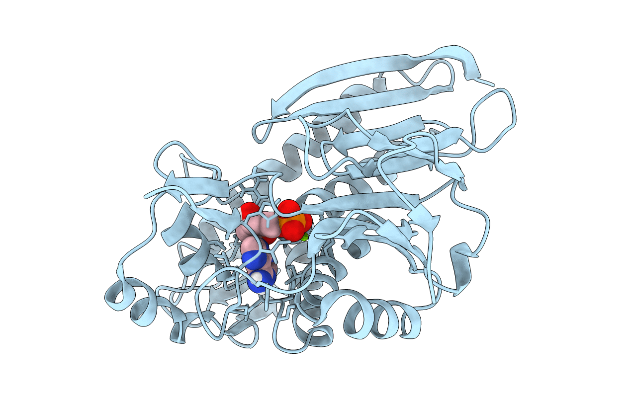 7ESC image