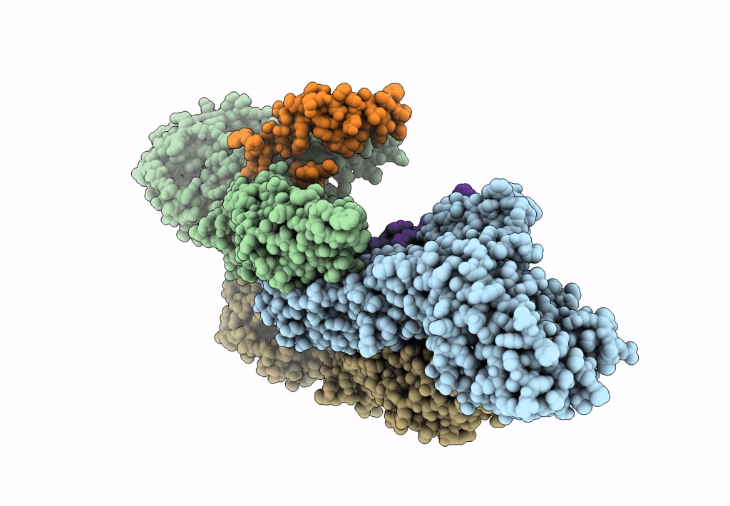 7ESD image