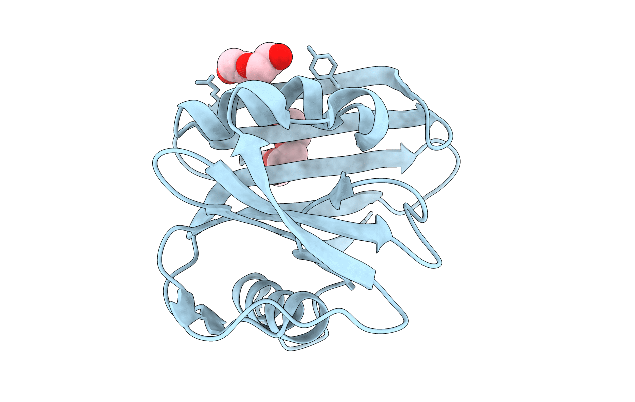 7ESF image