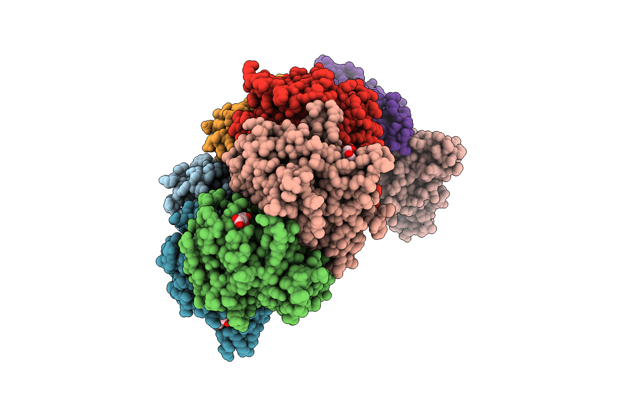 7ESP image