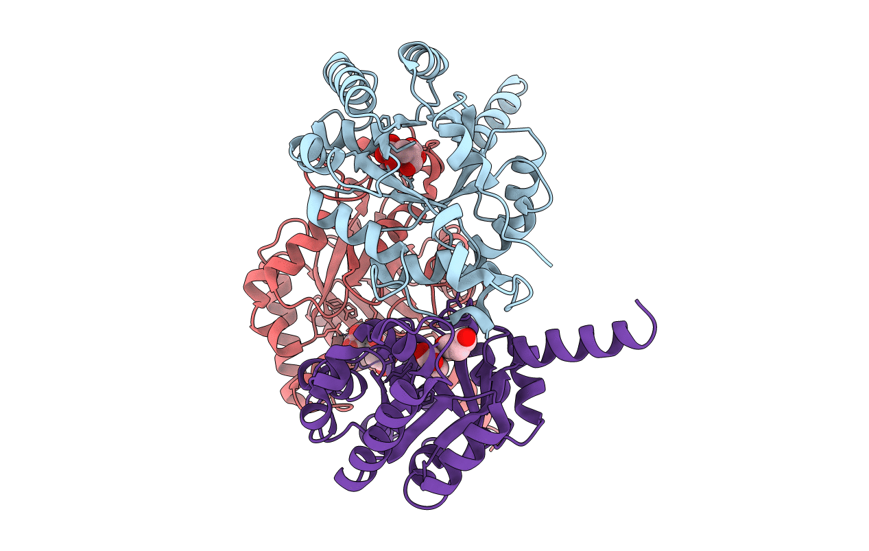 7ETG image