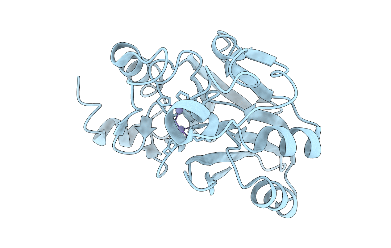 7EV5 image