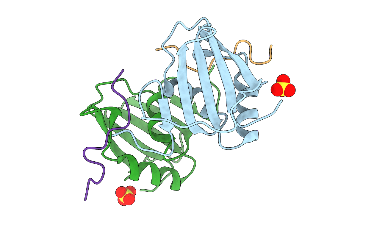 7EVS image
