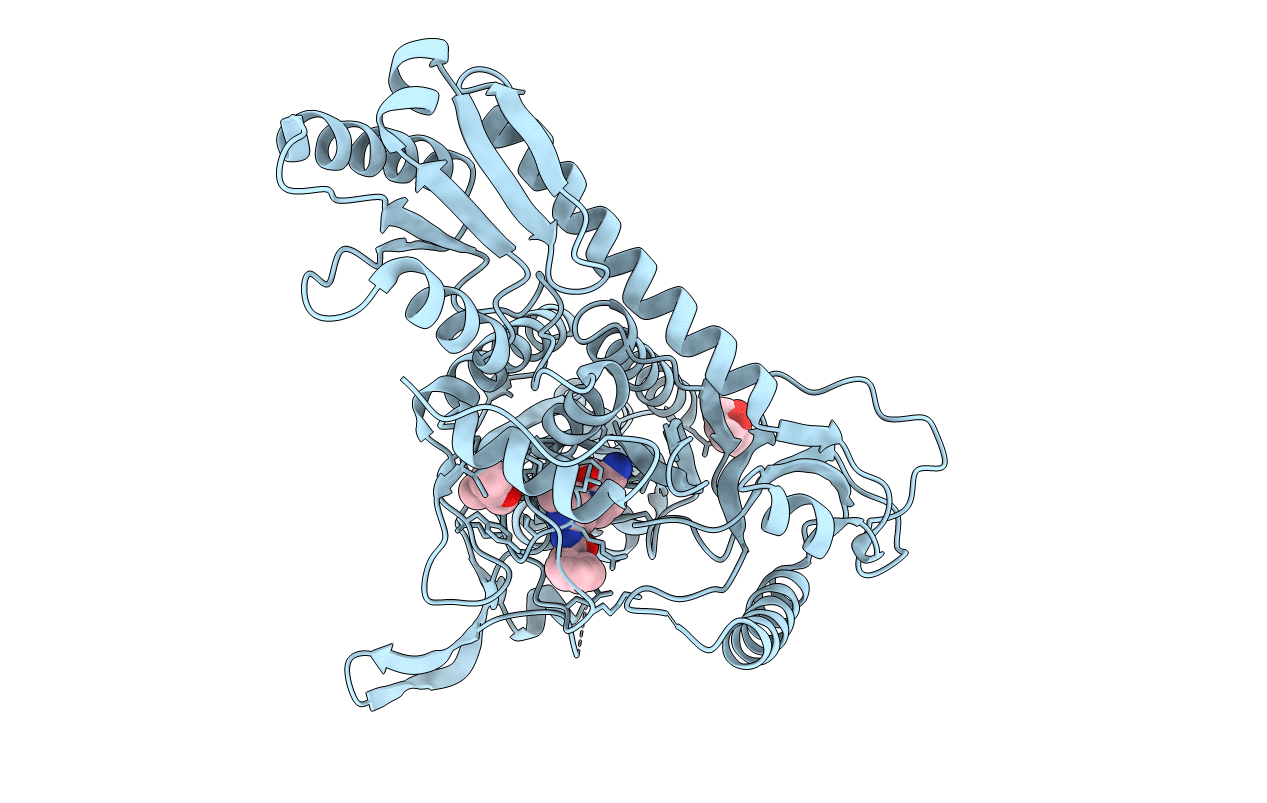 7EVV image