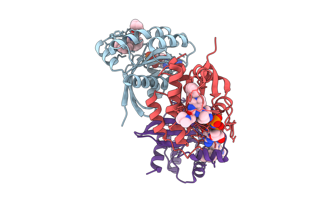 7EWB image