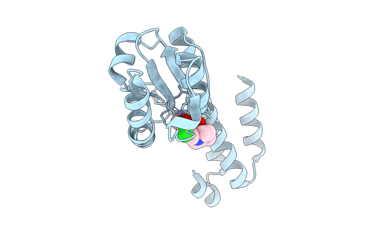 7EX9 image