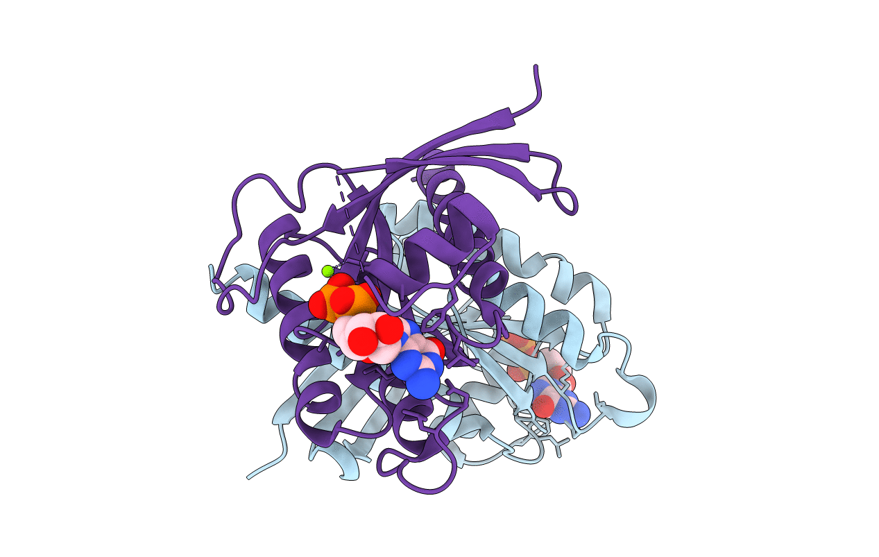 7EZB image