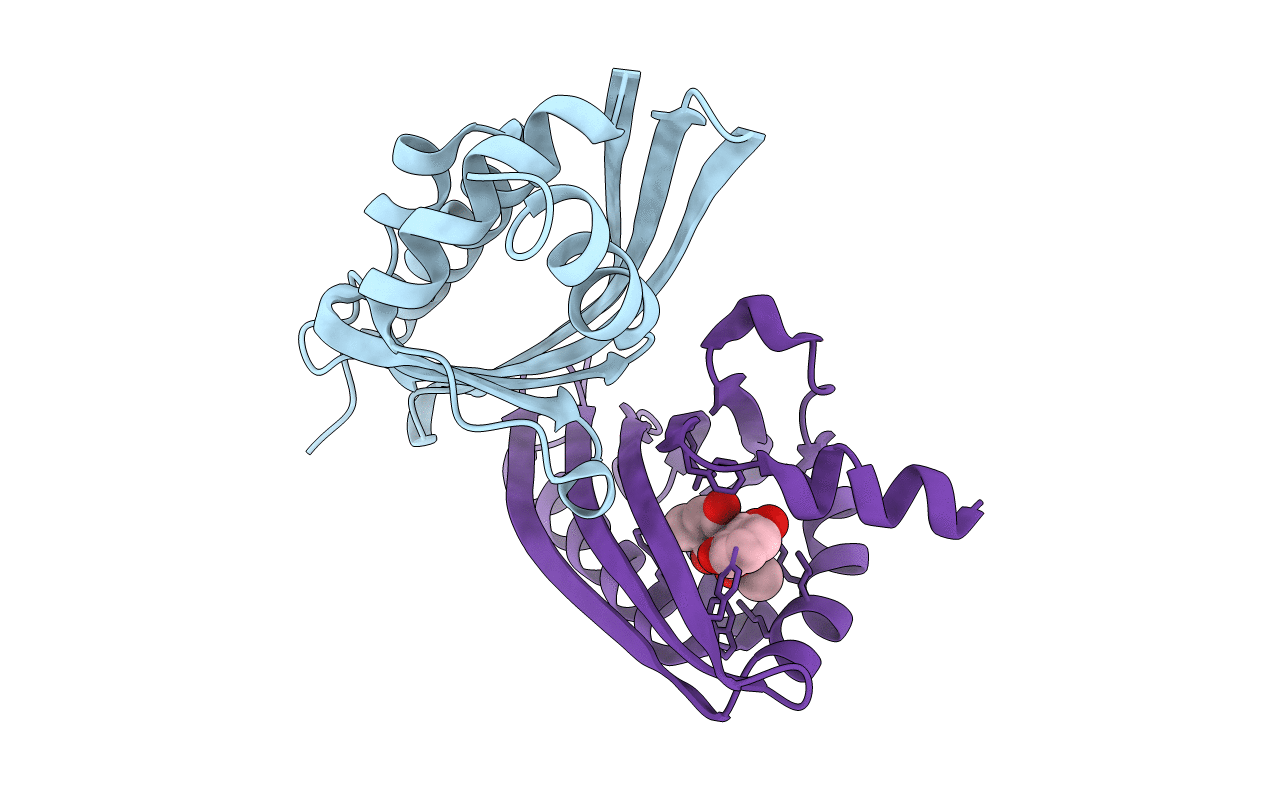 7F11 image