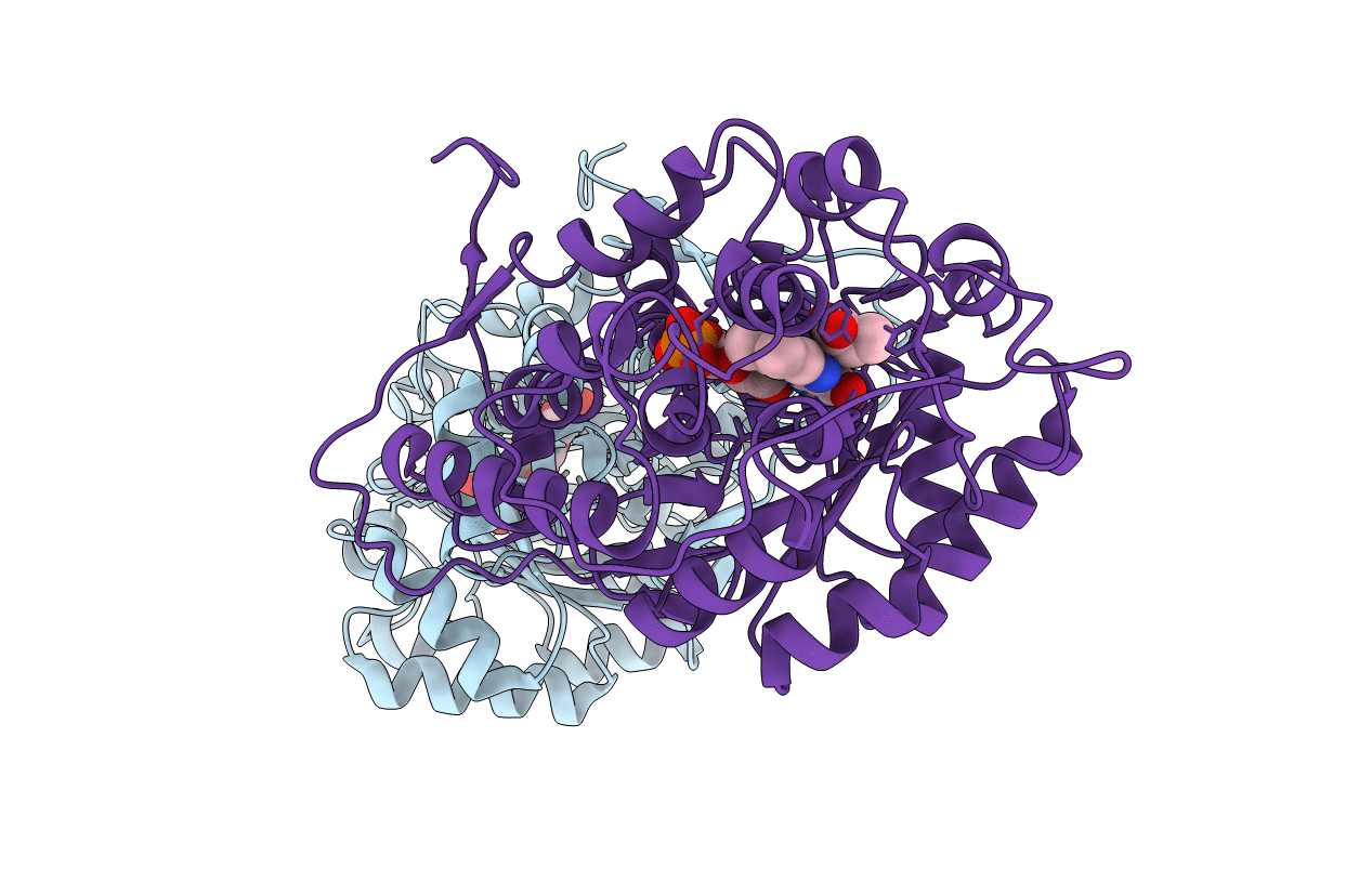 7F20 image