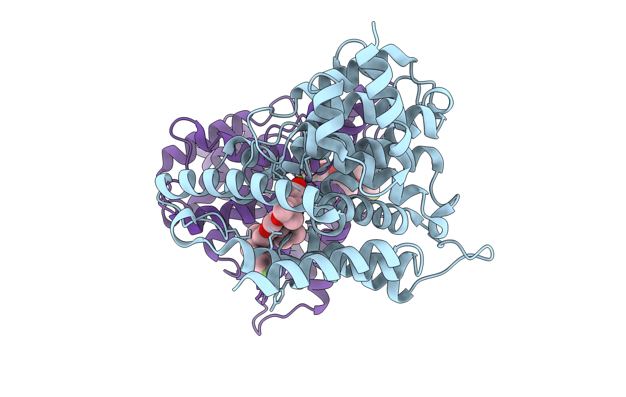7F2M image