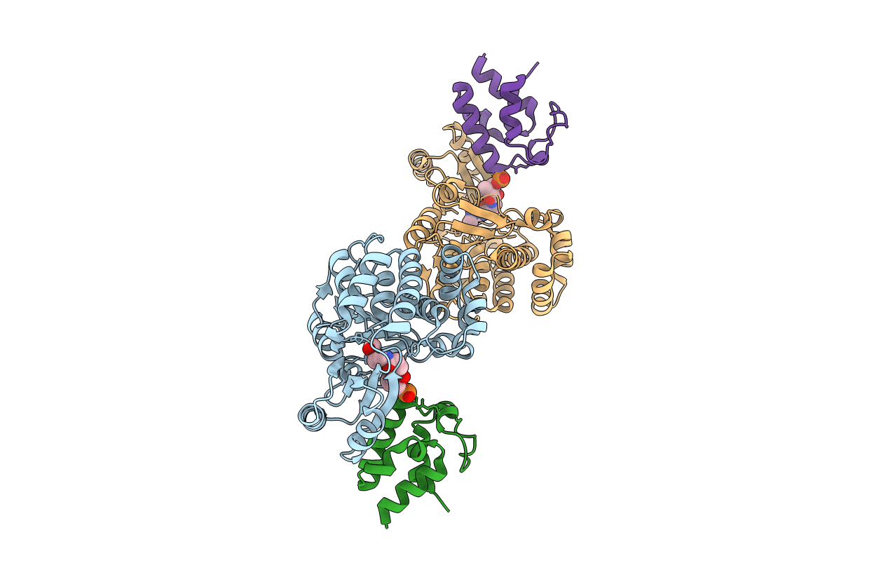 7F2R image