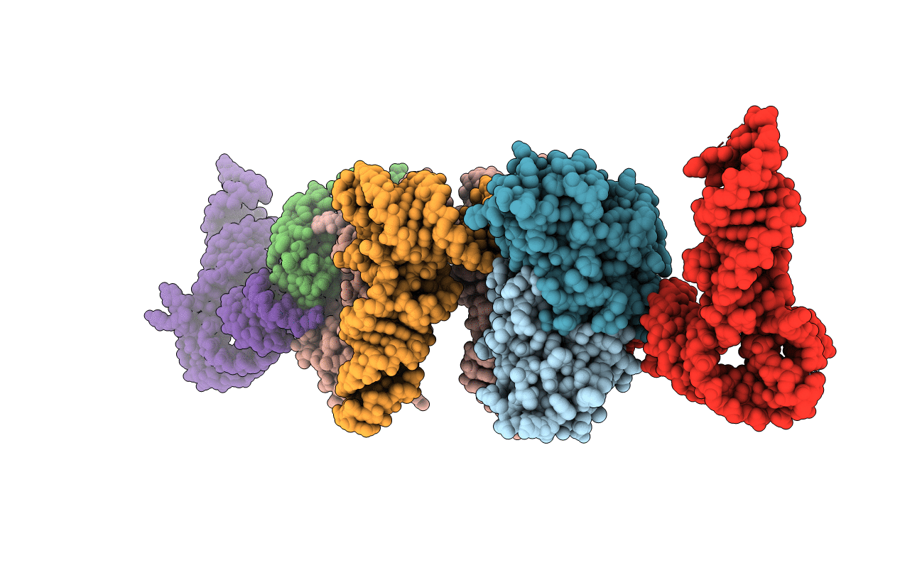 7F36 image