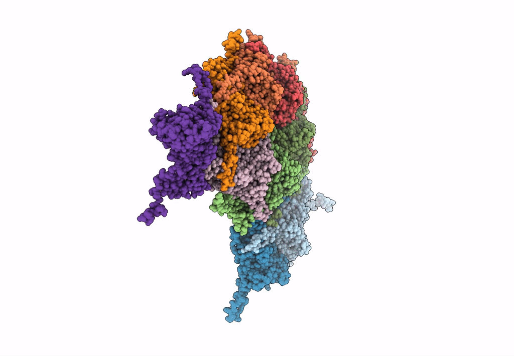 7F38 image