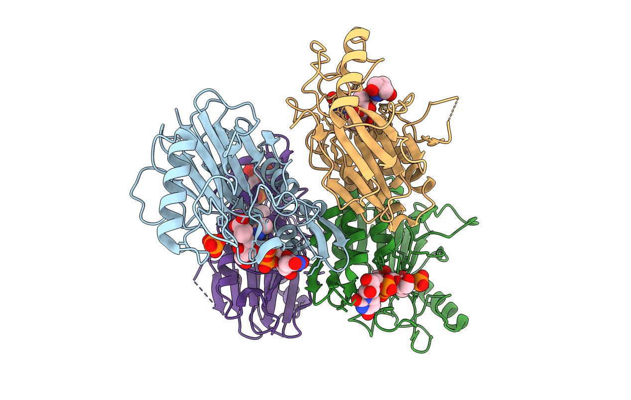 7F3V image