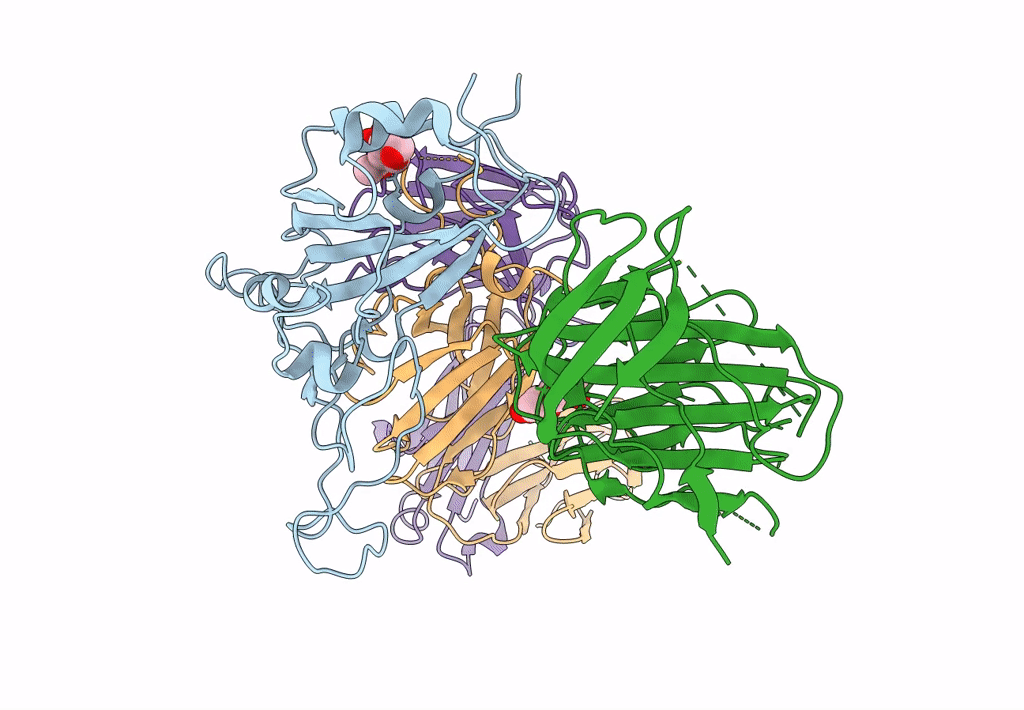 7F46 image