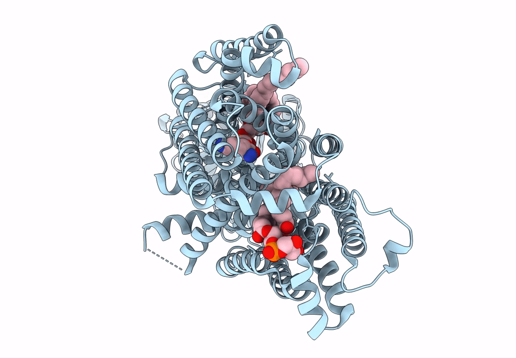 7F47 image