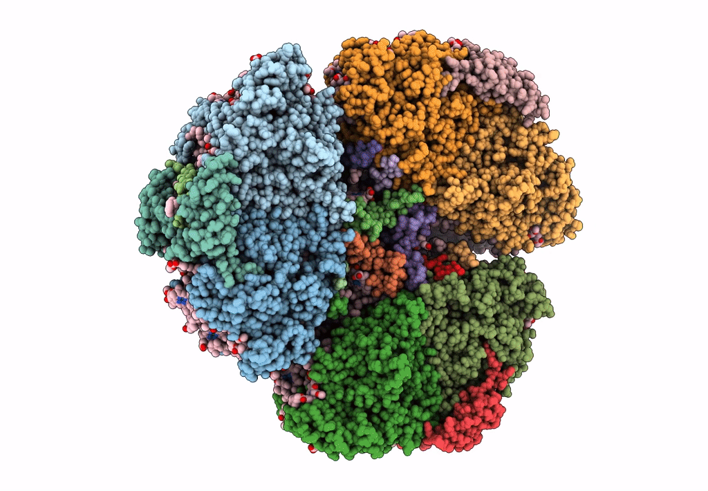 7F4V image