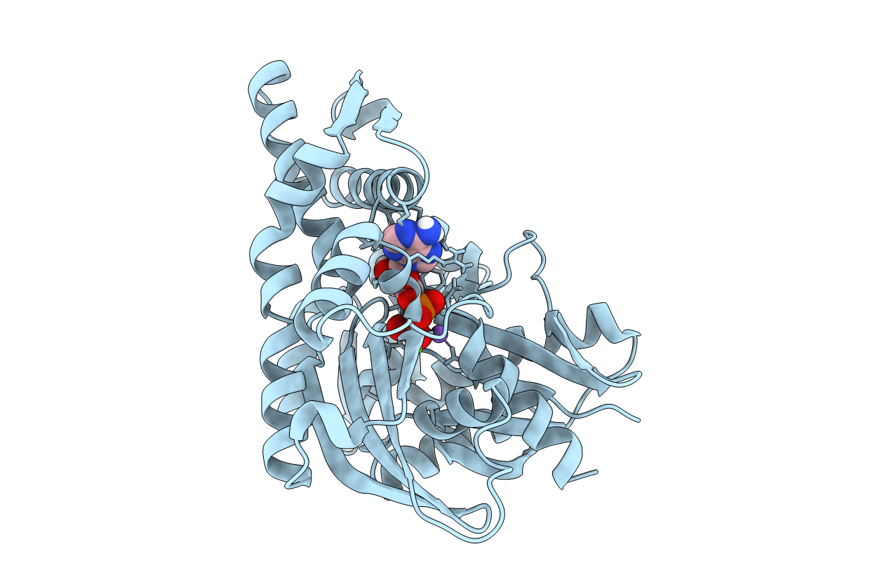 7F4X image