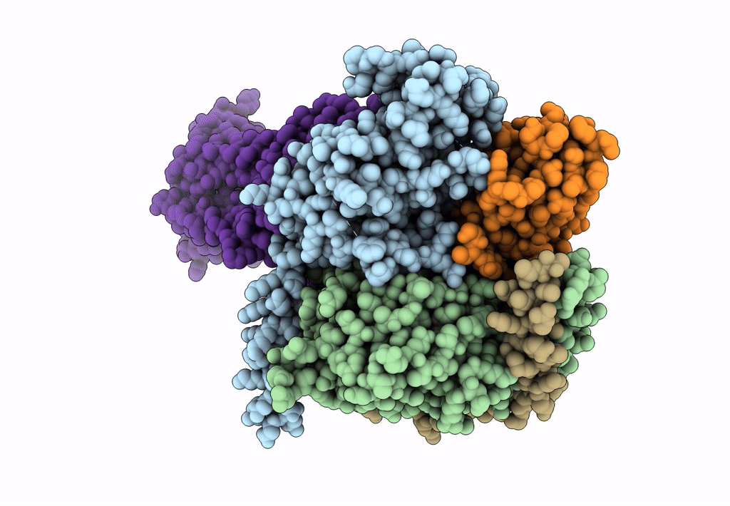 7F55 image