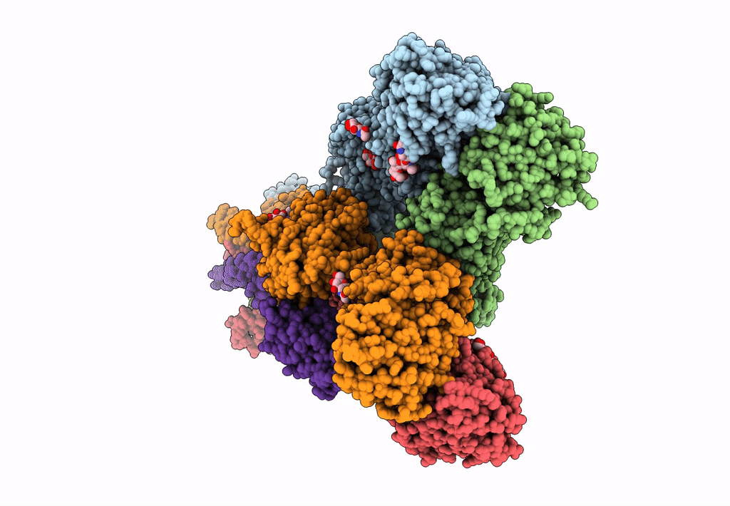 7F56 image
