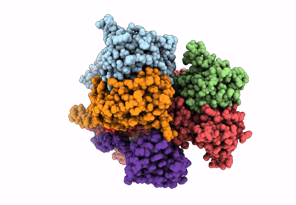 7F5B image