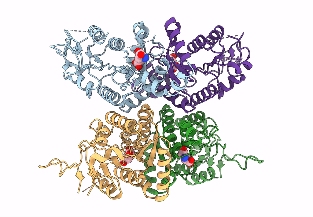 7F5X image