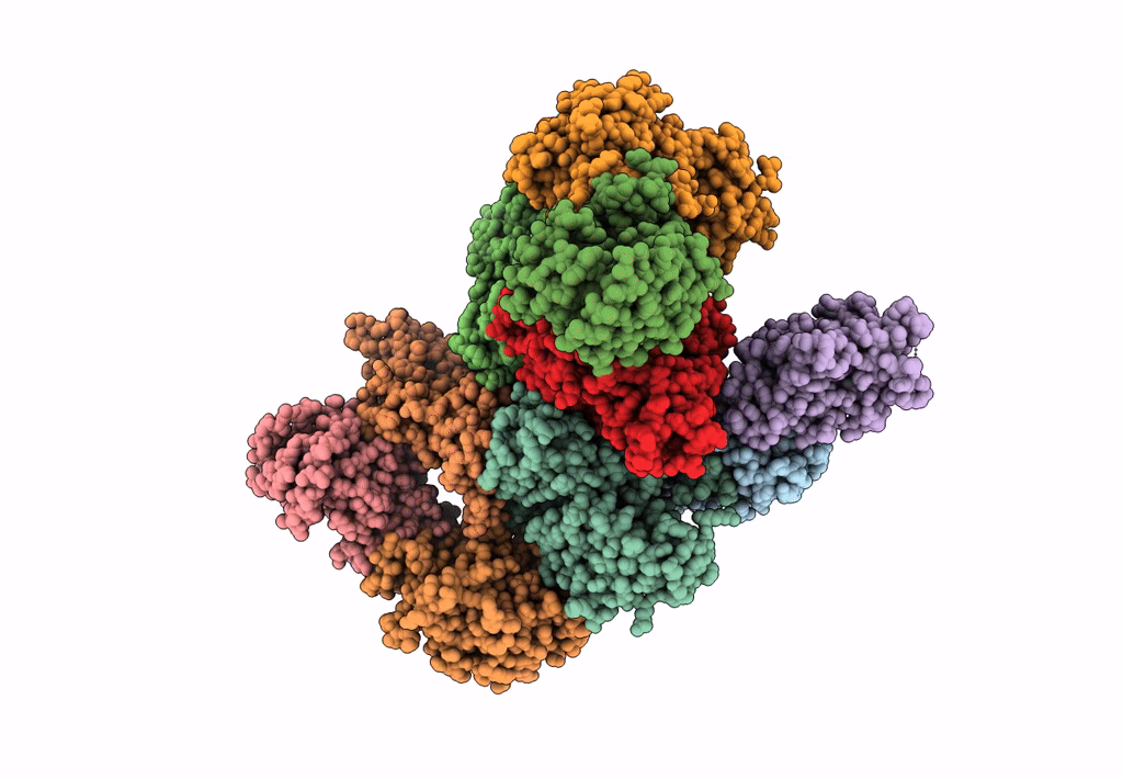 7F64 image