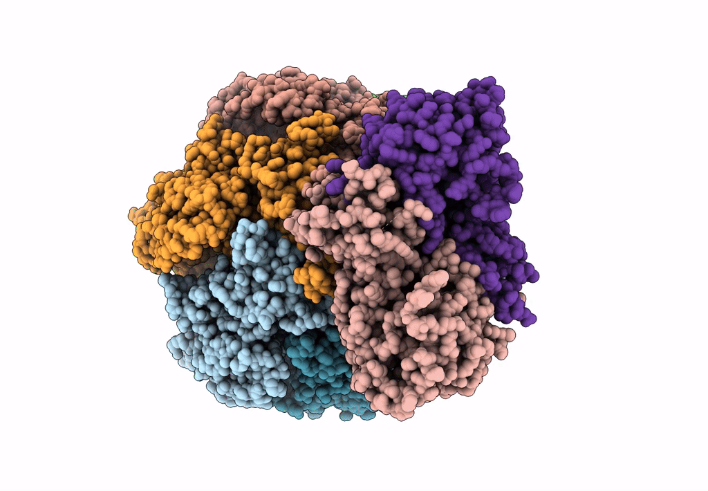 7F6D image