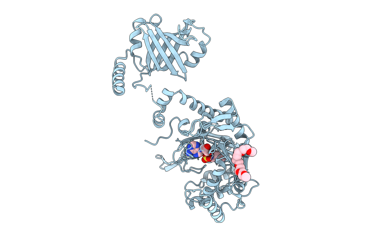 7F6W image