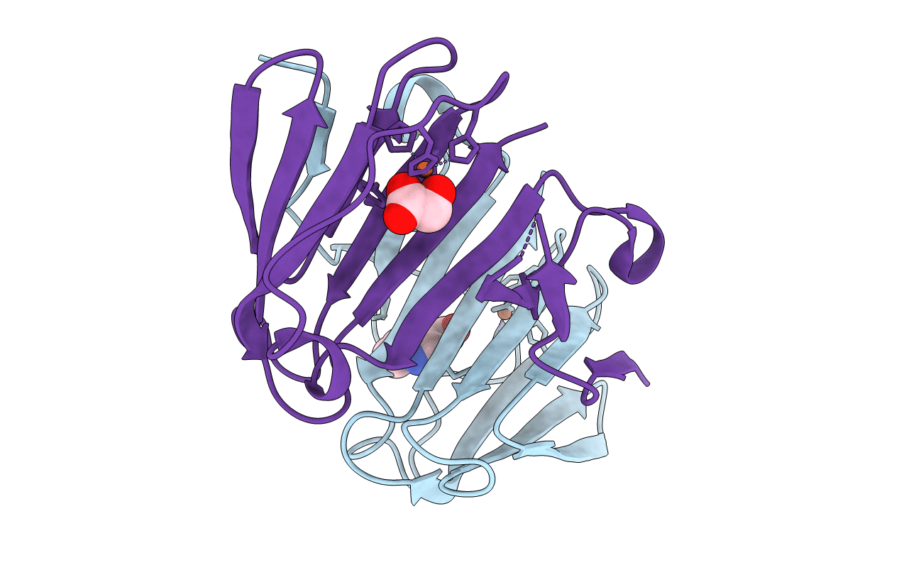 7F6X image