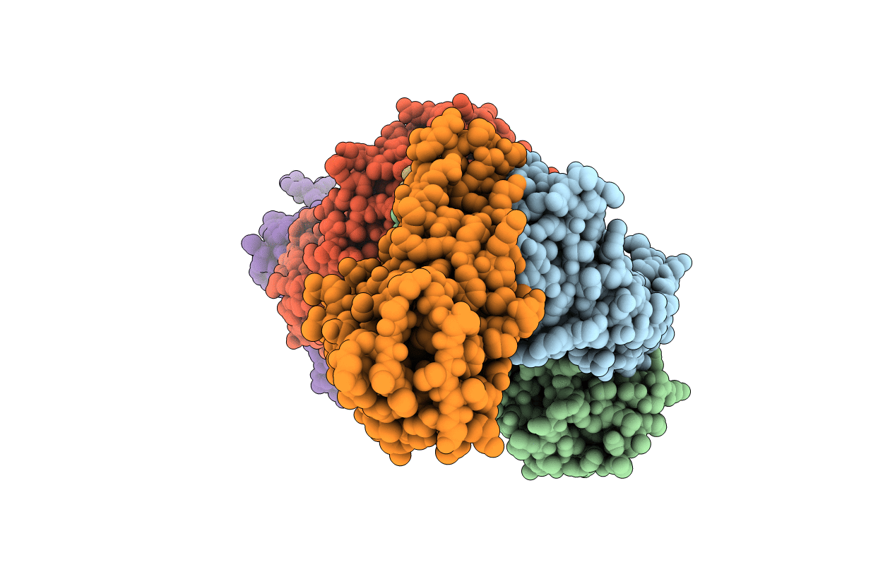 7F7H image