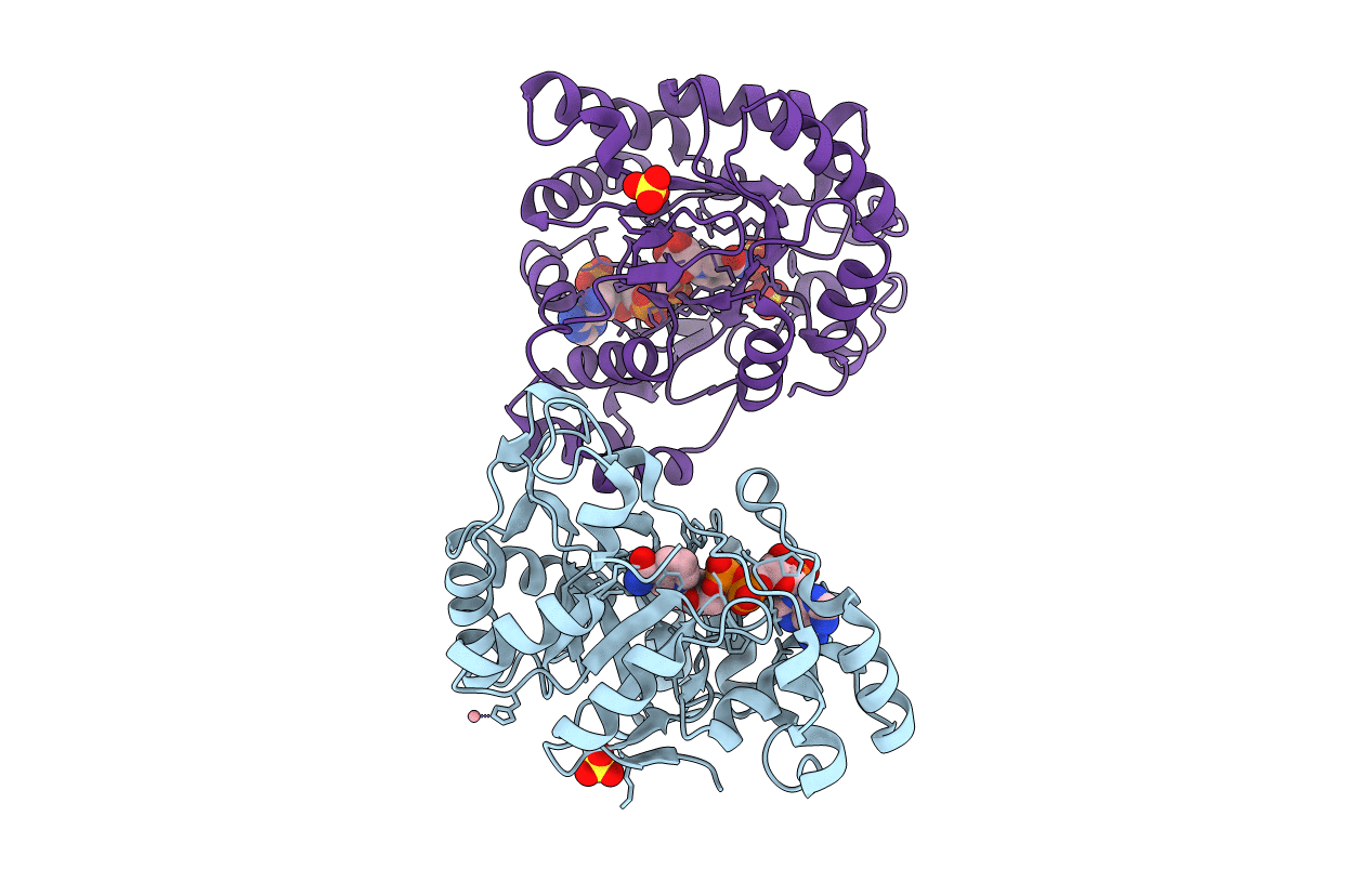 7F7K image