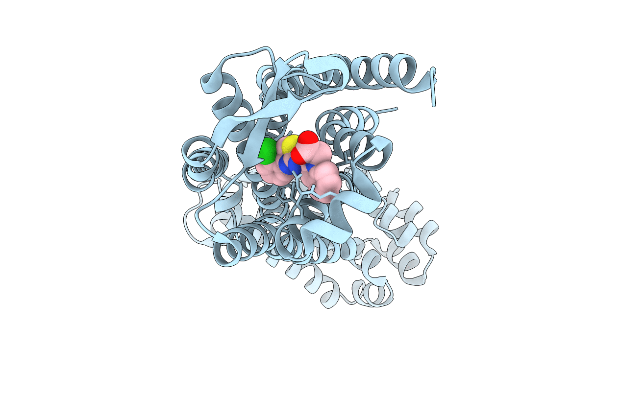 7F8U image