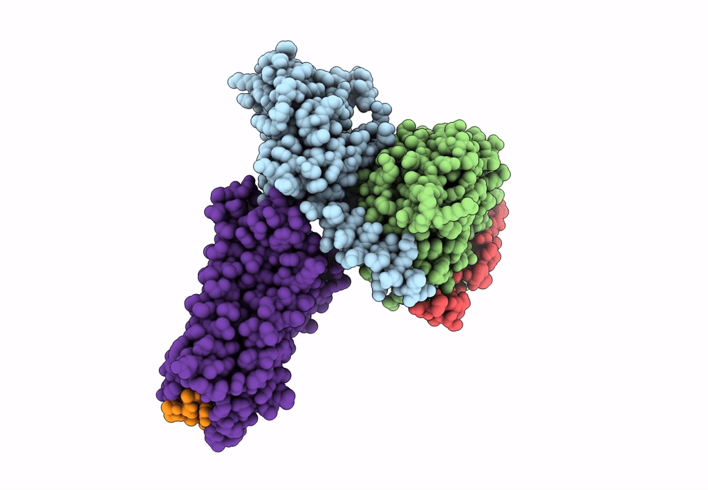 7F8V image