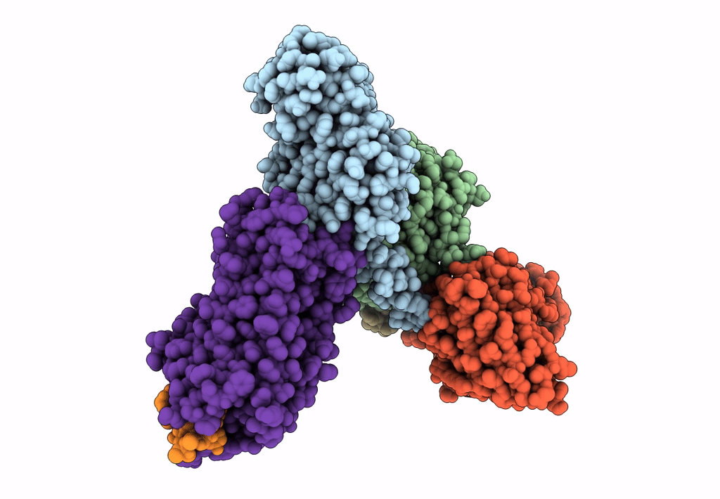 7F8W image