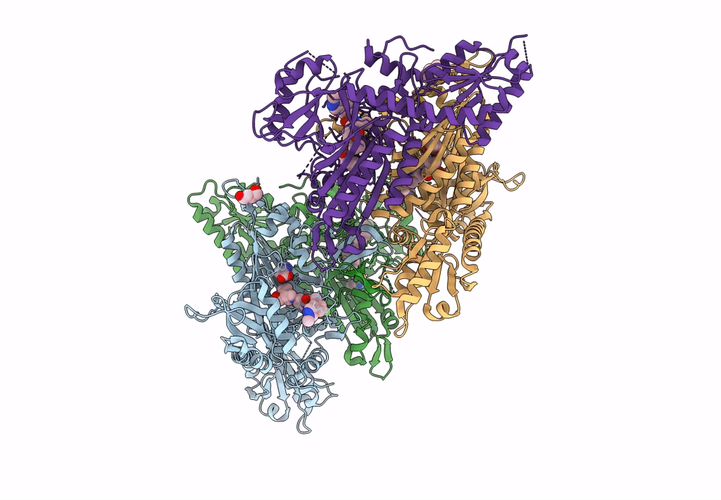7F97 image