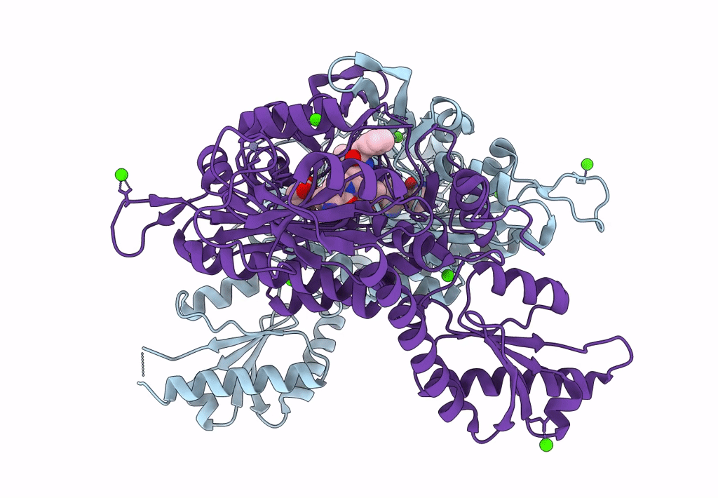 7F98 image