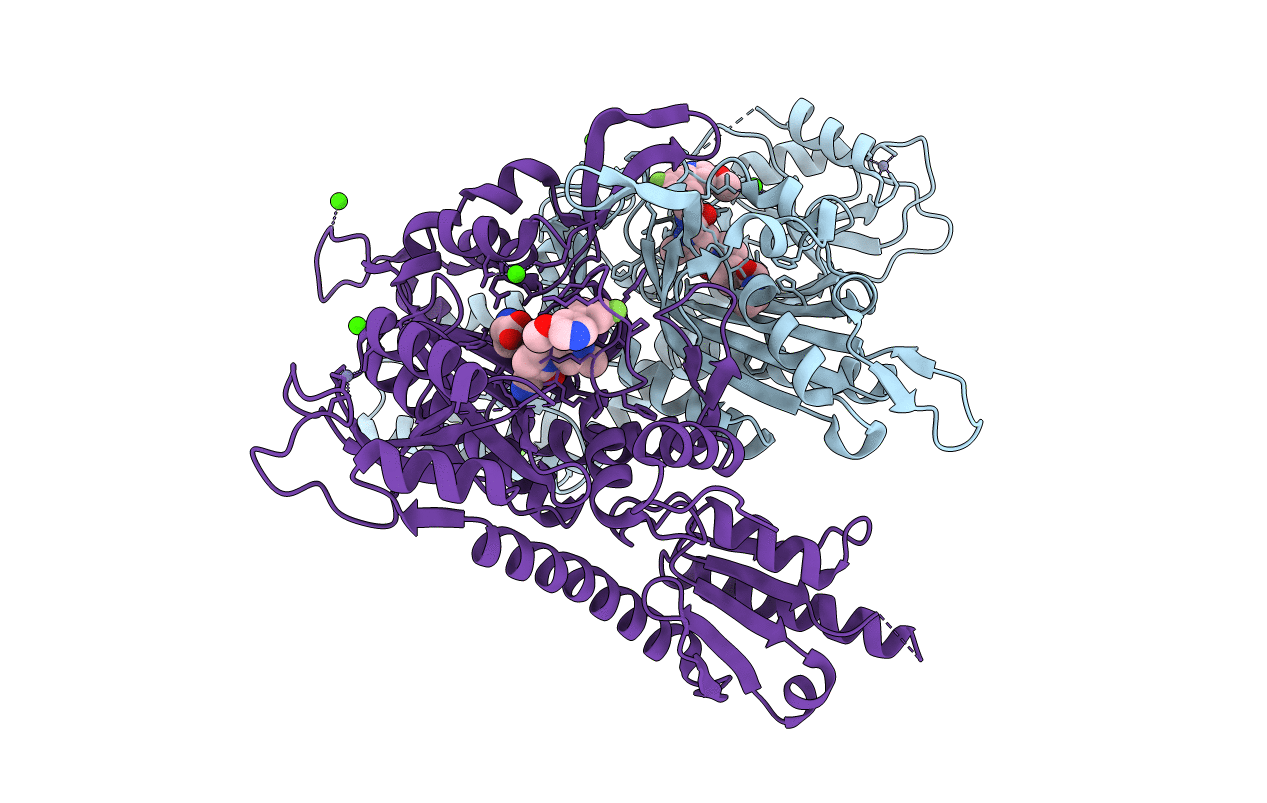 7F9C image