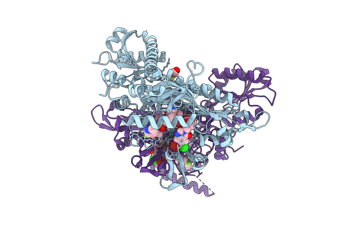 7F9V image