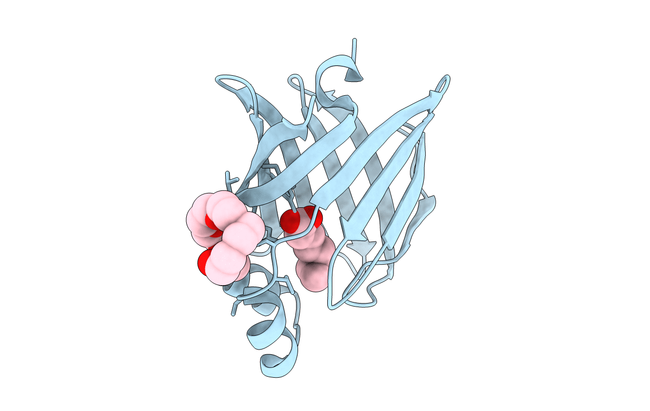 7FBF image